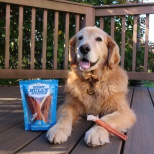 collagen-sticks-vs-bully-sticks-which-chew-is-right-for-your-dog-7461814_600x.jpg