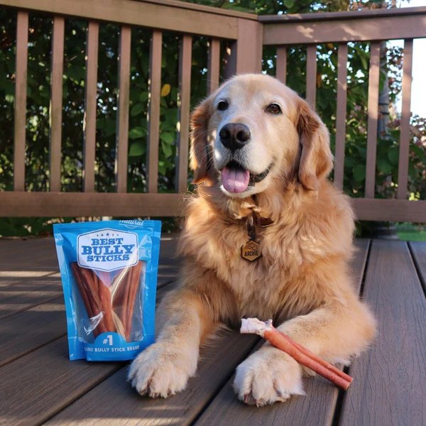 collagen-sticks-vs-bully-sticks-which-chew-is-right-for-your-dog-7461814_600x.jpg