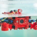 Top 10 Quality Pet Products You Should Buy From Petsworld Today