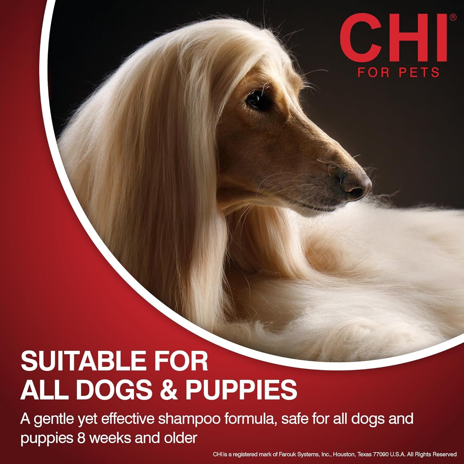 CHI for Dogs Deep Moisture Shampoo, Professional Dog Grooming Formula for Dry Coats, Hydrating and Nourishing Gallon Size Wash for All Breeds and Hair Types, 128 Fl Oz - Image 5