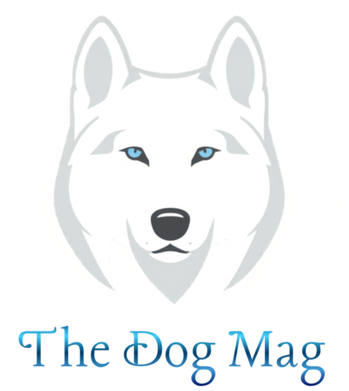 Detailed Husky Logo with Charcoal Typography