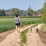 Taming the Anxious Pup: Proven Techniques to Help Your Dog