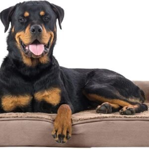 Furhaven Orthopedic Dog Bed for Large Dogs w/ Removable Bolsters & Washable Cover, For Dogs Up to 95 lbs - Plush & Suede Sofa - Almondine, Jumbo/XL